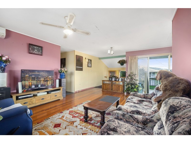 19 Angelina Street, Macgregor QLD 4109