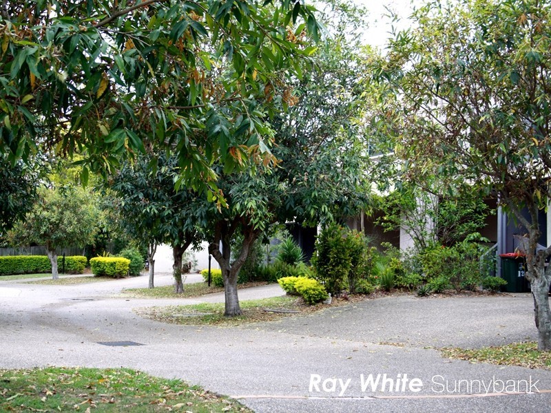 45 Barrett Street, Robertson QLD 4109