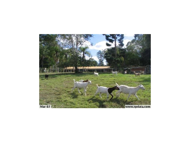 131 Rosia Road, Park Ridge South QLD 4125