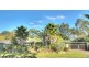 17 BLUEGUM STREET, Macgregor QLD 4109