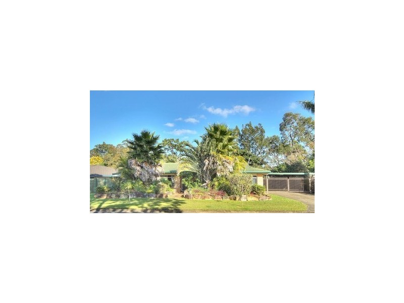 17 BLUEGUM STREET, Macgregor QLD 4109