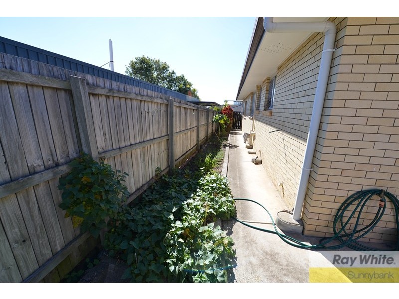 11 Evodia Street, Algester QLD 4115