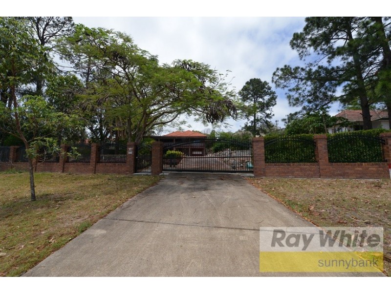 129 Lang street, Sunnybank Hills QLD 4109