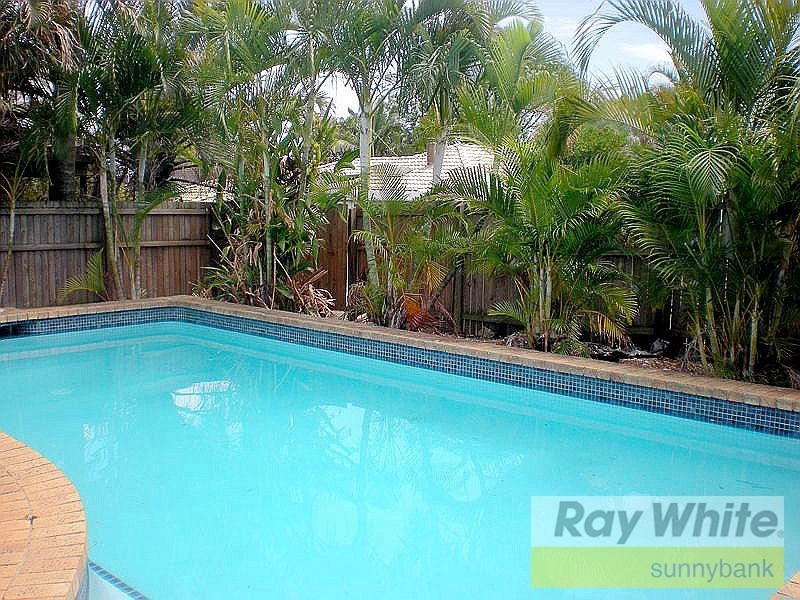 64 Chilton Street, Sunnybank Hills QLD 4109