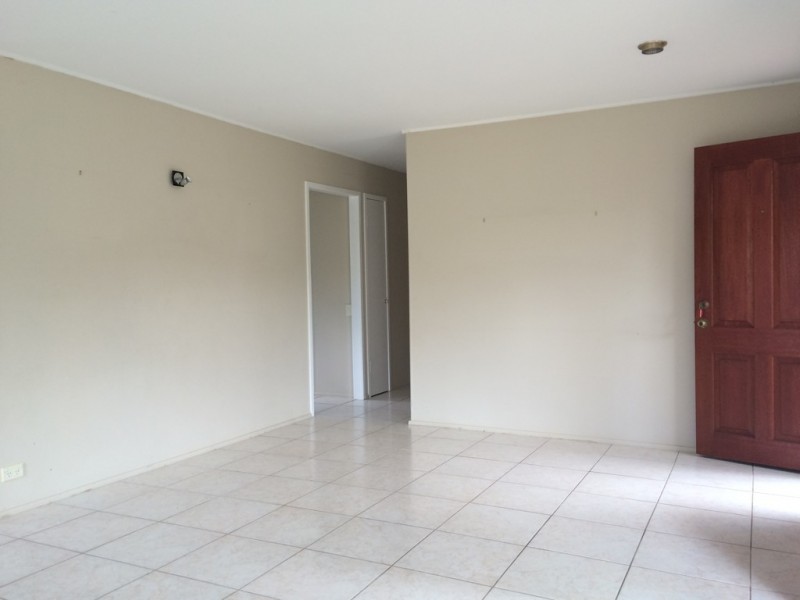 165 Lang Street, Sunnybank Hills QLD 4109