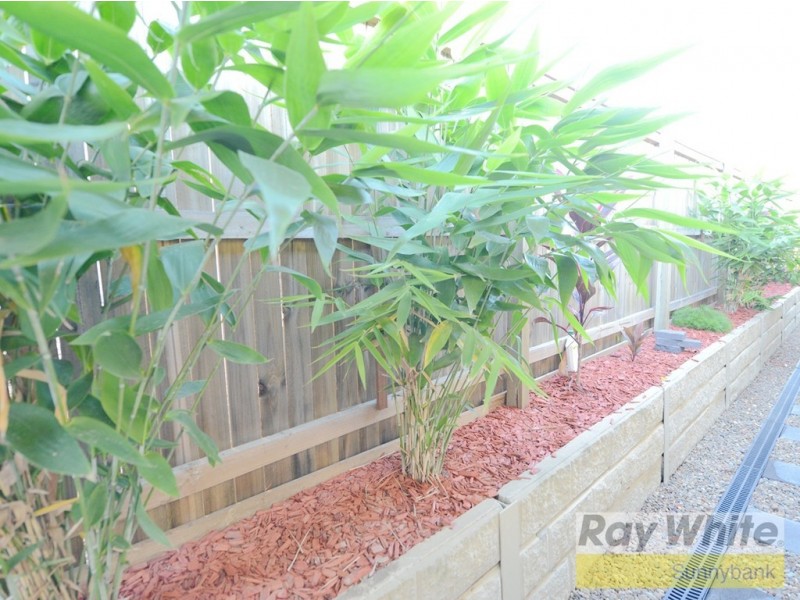 107 Cooper Crescent, Rochedale QLD 4123
