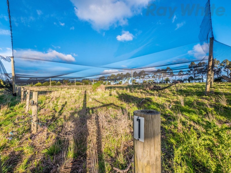 128 Pawleena Road, Sorell TAS 7172