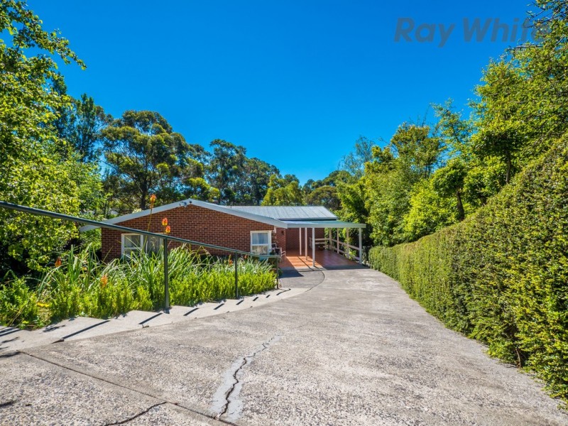 10 Woolton Place, Sandy Bay TAS 7005