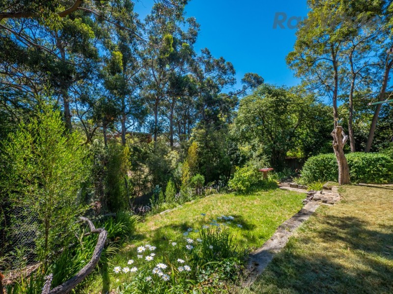 10 Woolton Place, Sandy Bay TAS 7005