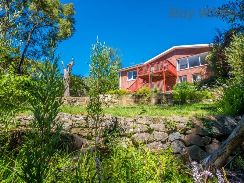 10 Woolton Place, Sandy Bay TAS 7005