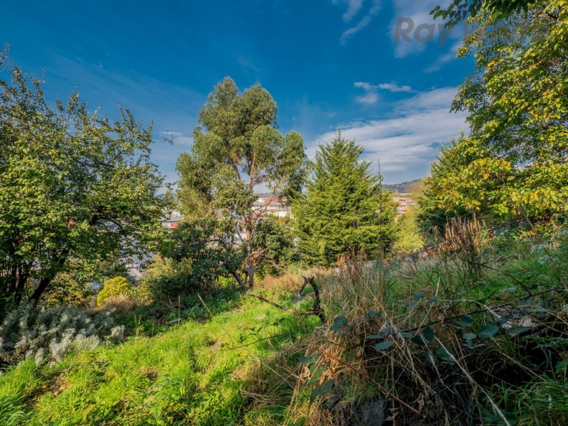 342 Liverpool Street, West Hobart TAS 7000