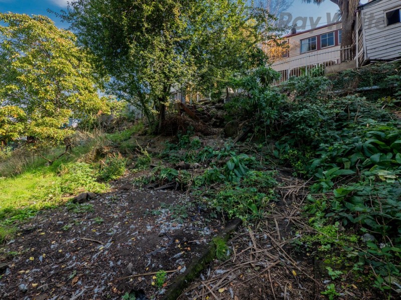 342 Liverpool Street, West Hobart TAS 7000