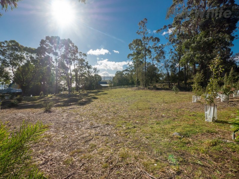 175 Coningham Road, Coningham TAS 7054