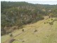 772 Brinktop Road, Orielton TAS 7172