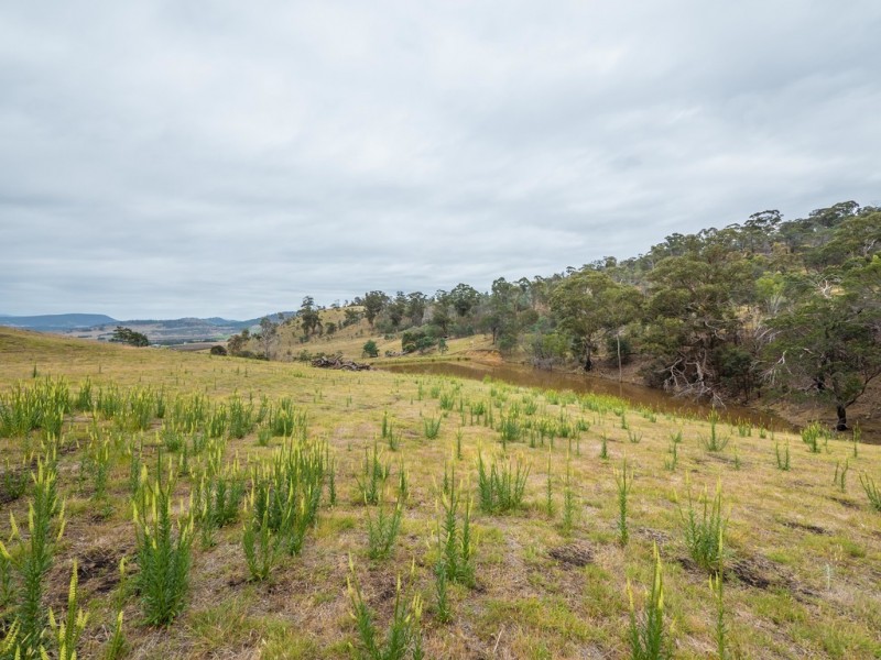 772 Brinktop Road, Orielton TAS 7172