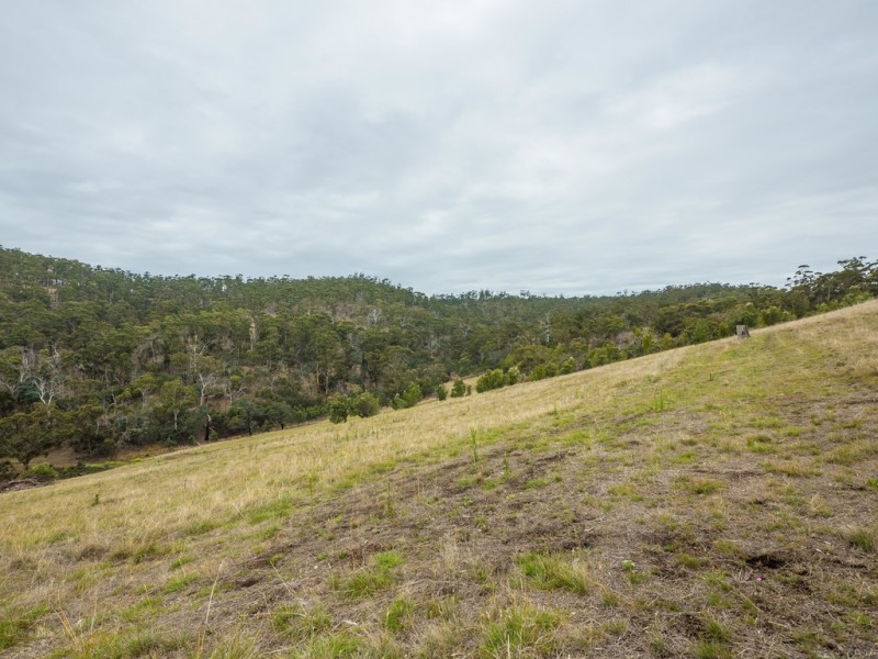 772 Brinktop Road, Orielton TAS 7172