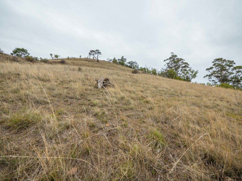 772 Brinktop Road, Orielton TAS 7172