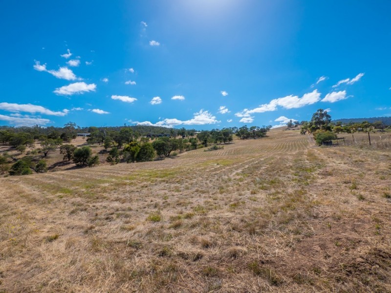 90 Braeview Drive, Old Beach TAS 7017