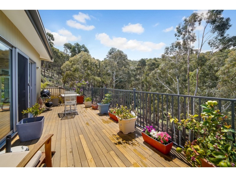 49 Louden Street, South Hobart TAS 7004