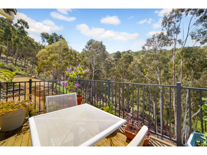49 Louden Street, South Hobart TAS 7004