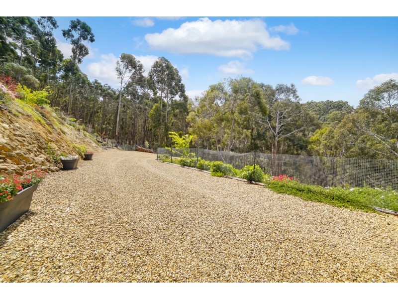 49 Louden Street, South Hobart TAS 7004
