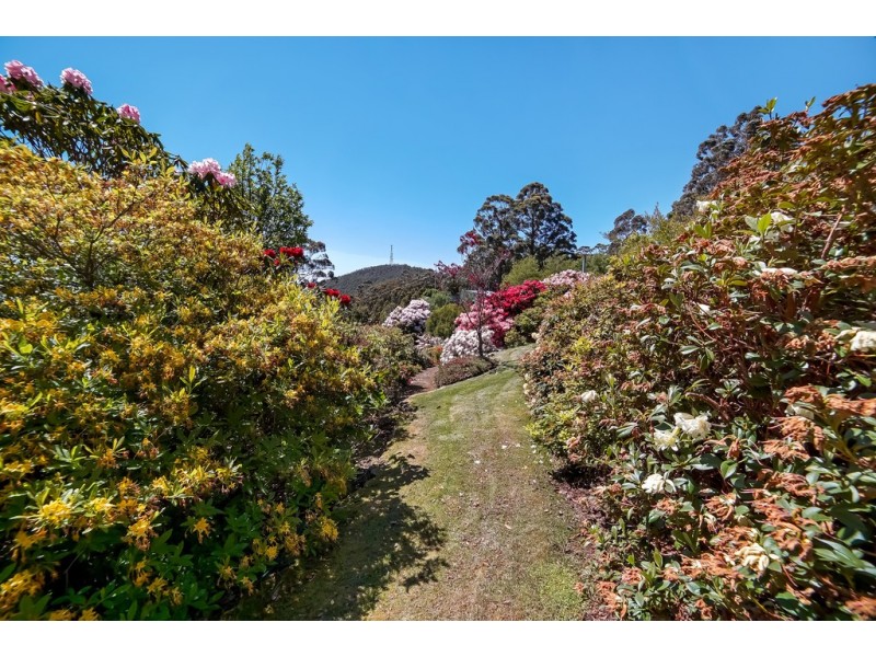 16 Bracken Lane, Fern Tree TAS 7054