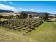 62 Greens Road, Orielton TAS 7172