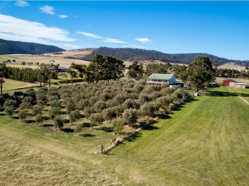 62 Greens Road, Orielton TAS 7172