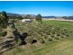 62 Greens Road, Orielton TAS 7172