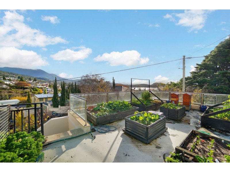 5 Ellington Road, Sandy Bay TAS 7005