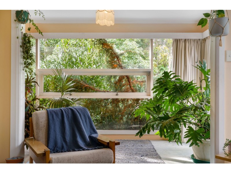 31 Wentworth Street, South Hobart TAS 7004