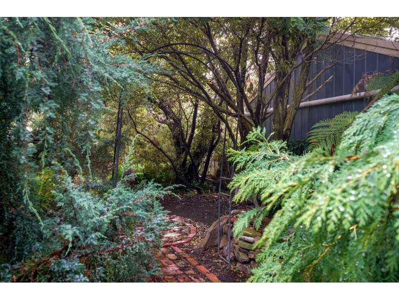 31 Wentworth Street, South Hobart TAS 7004