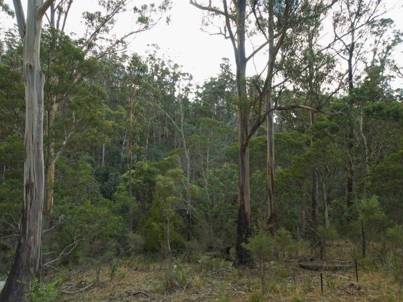 RA 196 Alma Road, Orford TAS 7190