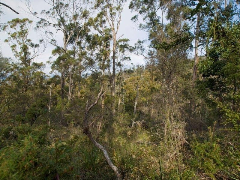 RA 196 Alma Road, Orford TAS 7190