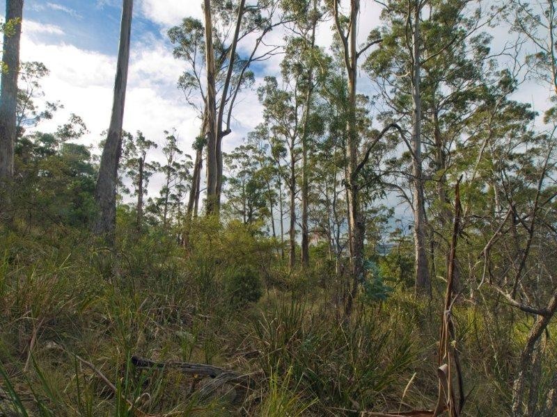 RA 196 Alma Road, Orford TAS 7190