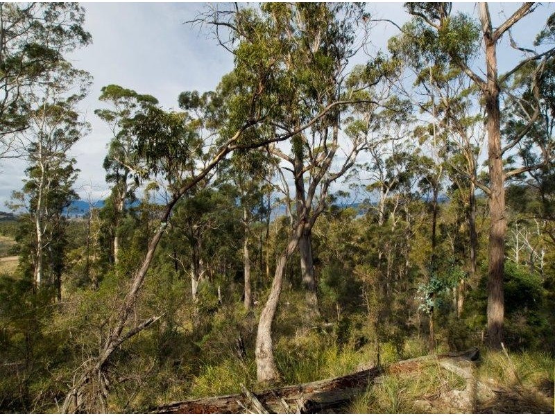 RA 196 Alma Road, Orford TAS 7190