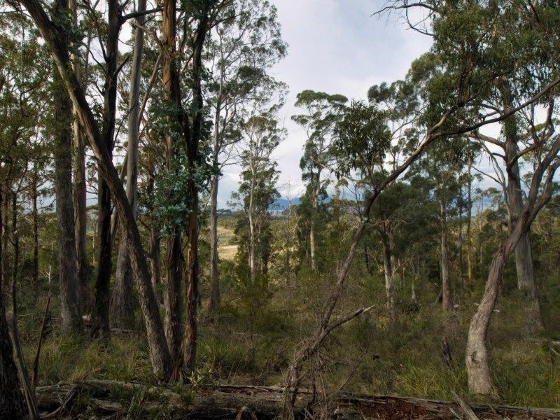 RA 196 Alma Road, Orford TAS 7190