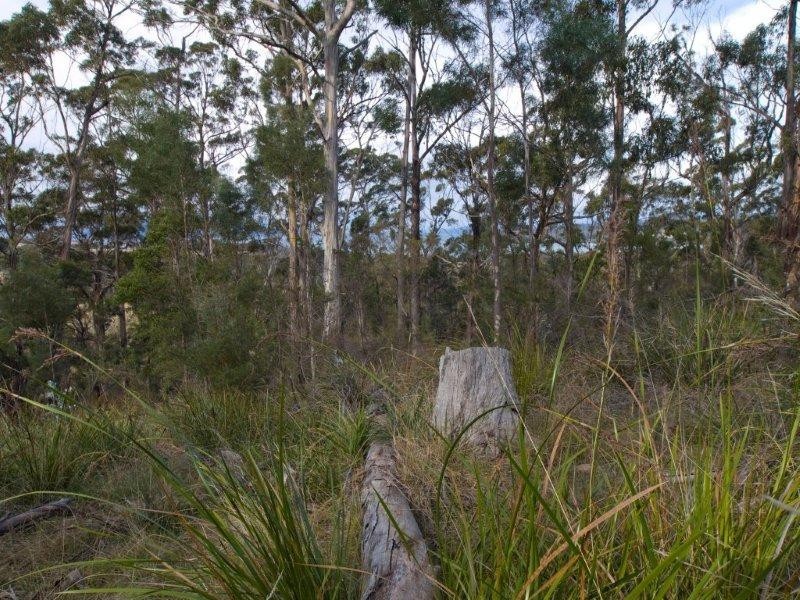 RA 196 Alma Road, Orford TAS 7190