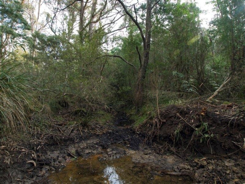 RA 196 Alma Road, Orford TAS 7190