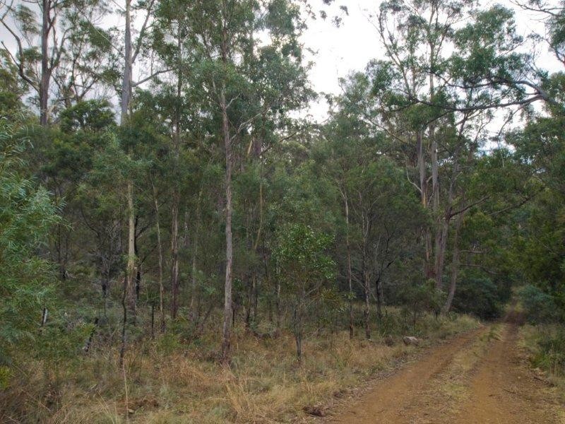 RA 196 Alma Road, Orford TAS 7190