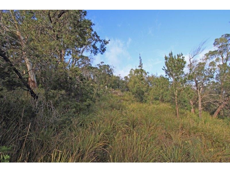 82 Begonia Street, Lindisfarne TAS 7015