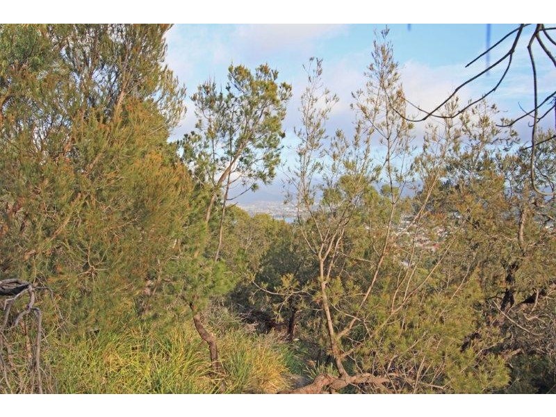 82 Begonia Street, Lindisfarne TAS 7015