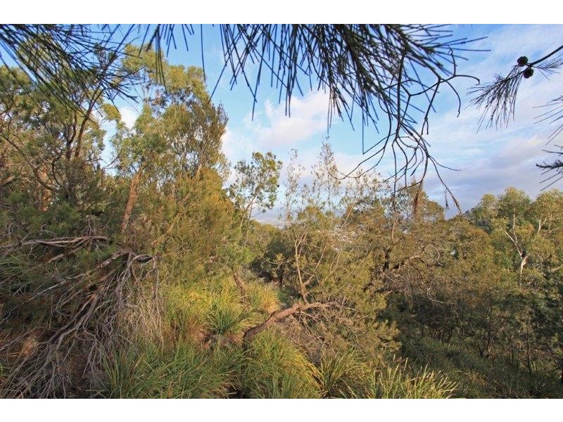 82 Begonia Street, Lindisfarne TAS 7015