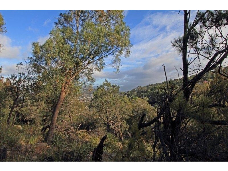 82 Begonia Street, Lindisfarne TAS 7015