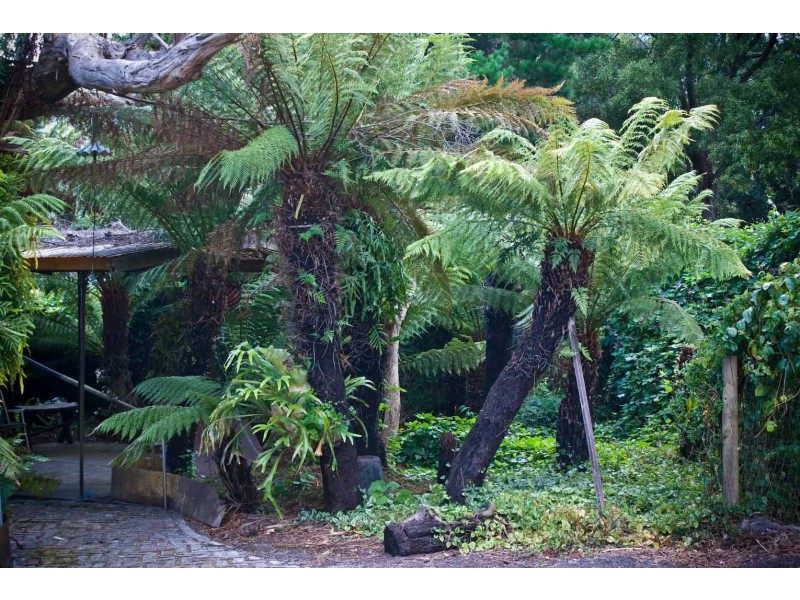 6 Stockdale Avenue, Sisters Beach TAS 7321