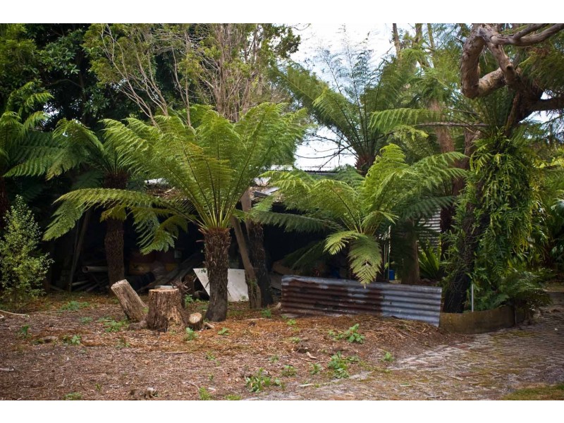 6 Stockdale Avenue, Sisters Beach TAS 7321