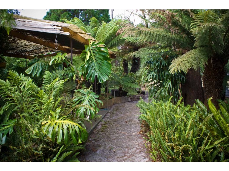 6 Stockdale Avenue, Sisters Beach TAS 7321