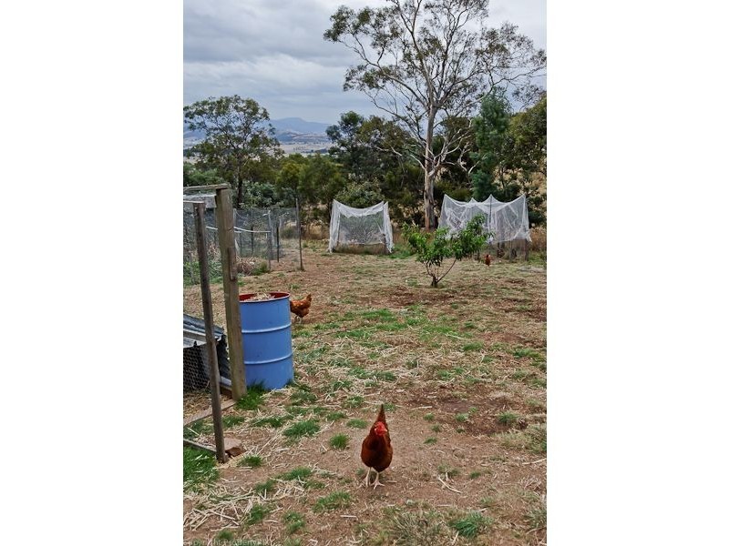 105 Honeywood Drive, Honeywood TAS 7017