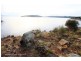 22 Susans Bay Road, Primrose Sands TAS 7173