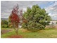 6 Allens Avenue, Lutana TAS 7009